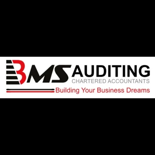 BMS Auditing BMS Auditing
