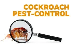 # Organic Pest Treatment – Low Cost in Dubai # Organic Pest Treatment – Low Cost in Dubai