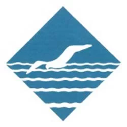 Seagull Shipping LLC-Dubai