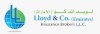 Lloyd & Co ( Emirates) Insurance Brokers LLC-Dubai