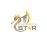 Dragon Star Shipping LLC